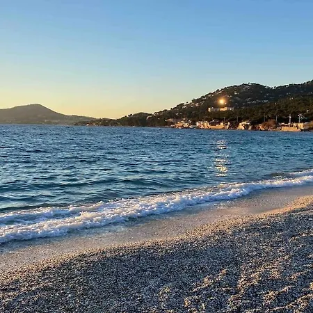Moderne - Wifi - Plage A Pied - Marche Provencal Toulon Exterior photo